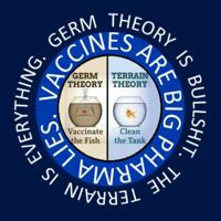 Debunking Germ Theory