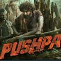 Pushpa movie Hindi