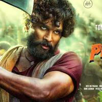 Pushpa chapter 2 movie full HD Hindi dubbed 2022