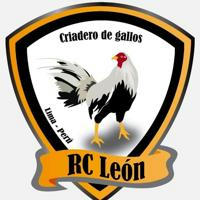 RC-LEÓN Gallos de Combate