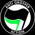 ANTI-GROYPER ACTION