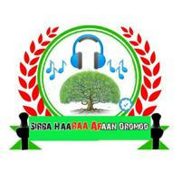 New Afan Oromo Music | Sirba Haaraa Afaan Oromoo