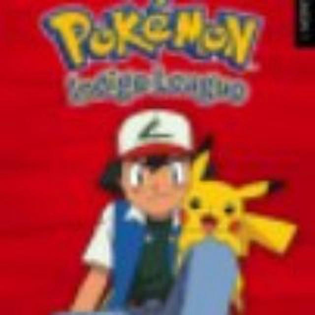 Pokémon all Season Official Hindi Dub
