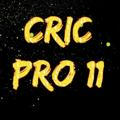 Cric Pro 11