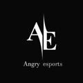Angry Esports