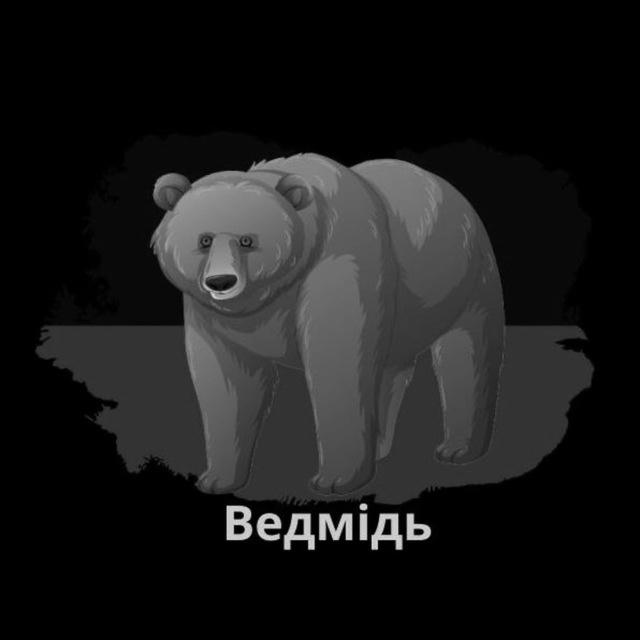 Український Ведмідь | Ukrainian Bear