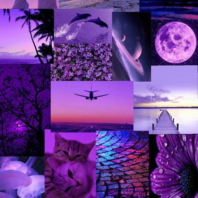 Purple world 💜
