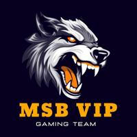 MSB VIP MOD 3.1