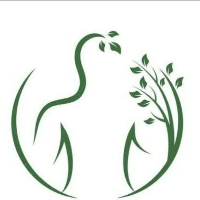 تبلیغات ماساژ تخصصی تلگرام