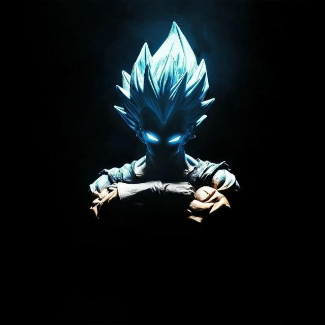 VEGETA #IG