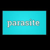 Parasite 🪱🪱🪱
