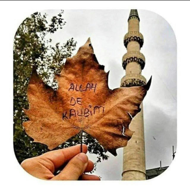 ALLAH DE KALBİM❤️