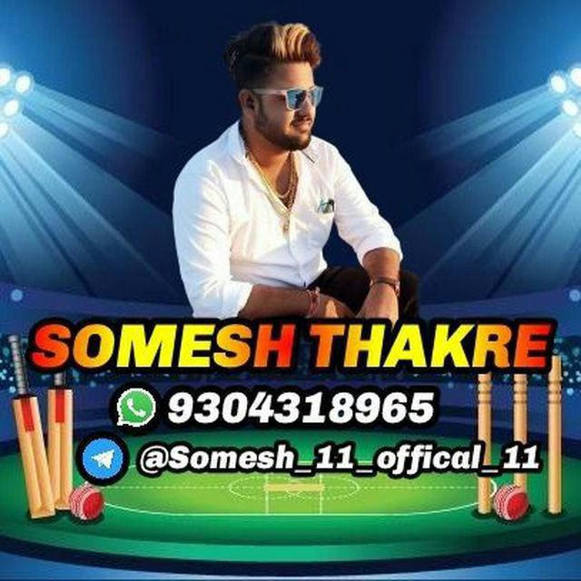 Somesh Thakre 🏆 ( GL FIXER )