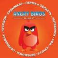 Angry birds канал