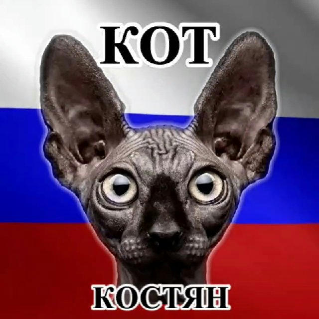 Кот Костян - официальный канал