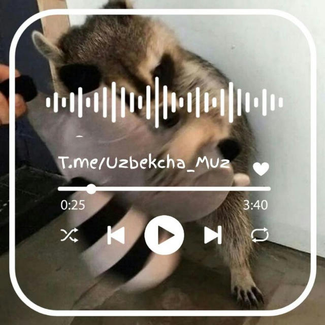 MUZIKALAR | МУЗИКАЛАР 🎧