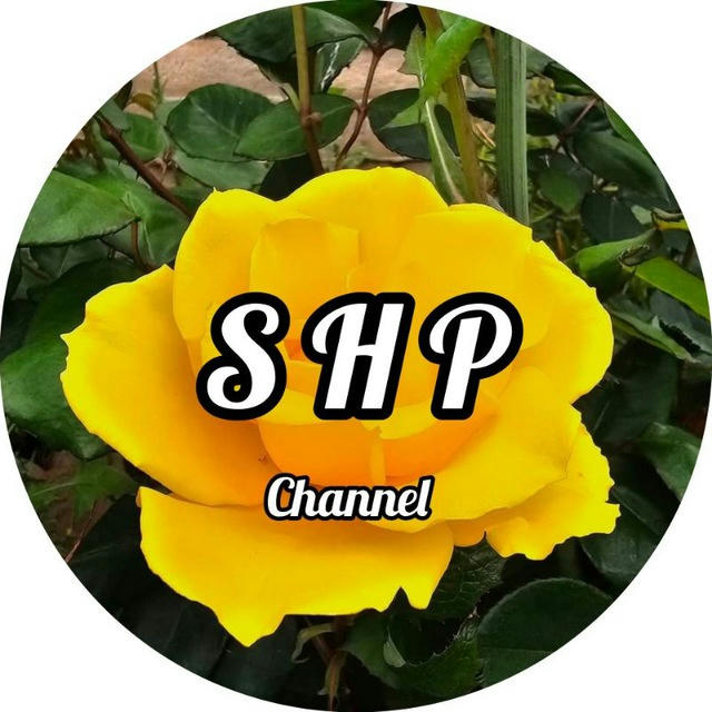 SHP Channel