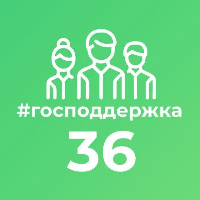 Господдержка36.рф