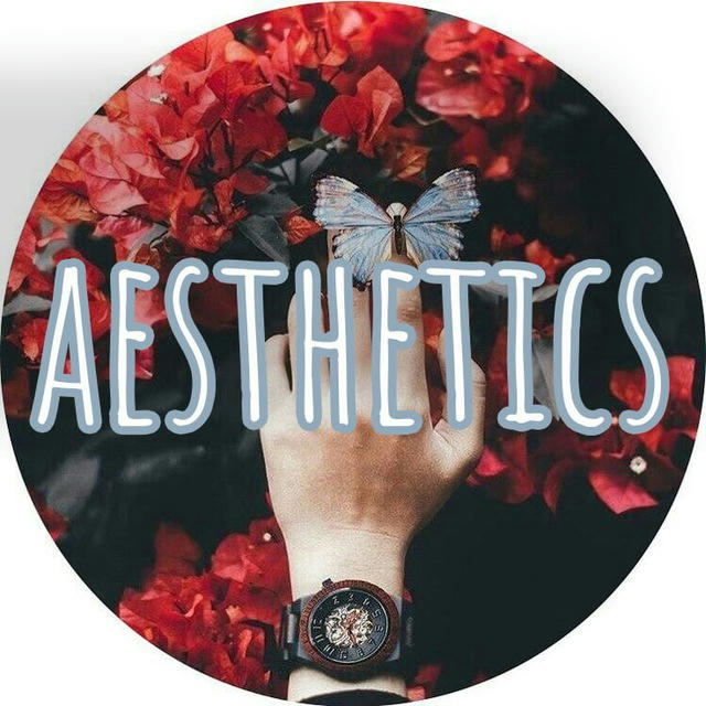 aesthetics | красивые видео | видеофоны