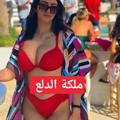 قناة الدلع مع أحلى بنات ف مصر كلها