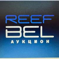 Reef Belarus