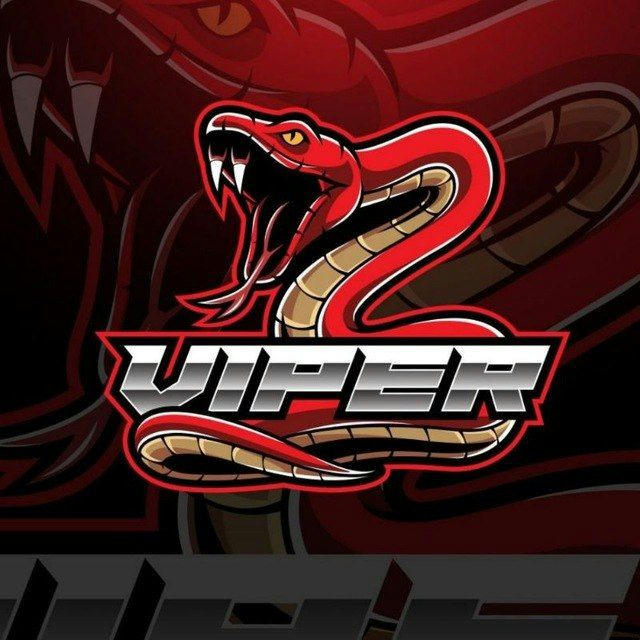 Viper ·毒蛇 官方转图群