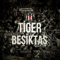 Tiger Beşiktaş 🇹🇷