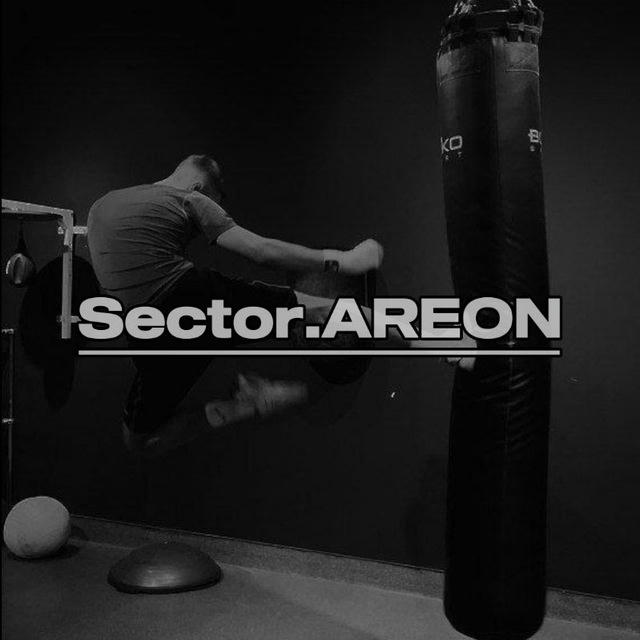 Sector.AREON 🥷