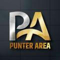 PUNTER_AREA