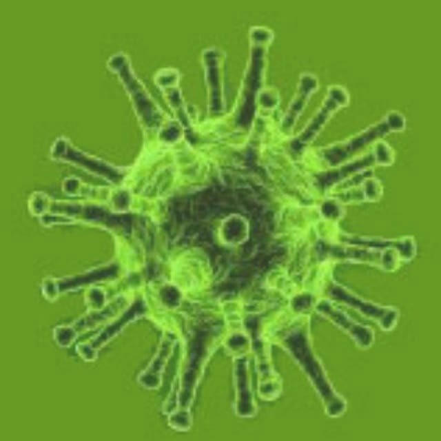 Corona Virus Informationen 2