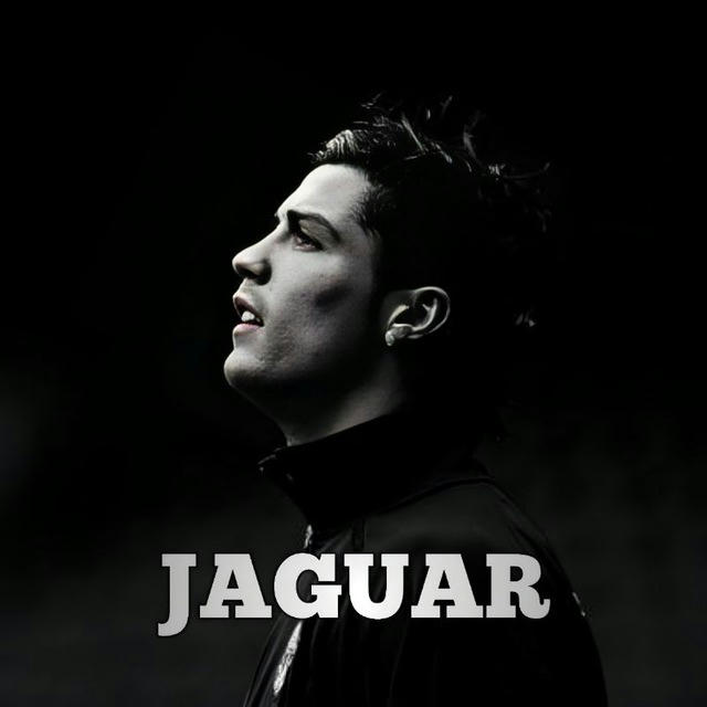 Jaguar pubgm🐆