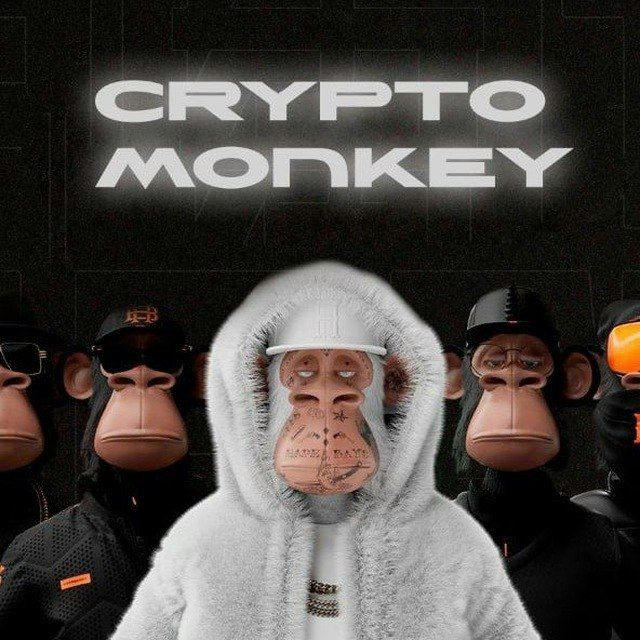 Crypto Monkey