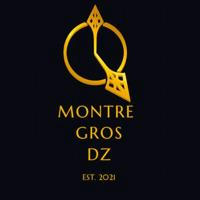 Montre gros dz