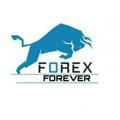 Forex Forever ™💰