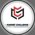 • چالش مگنت | Magnet Challenge •