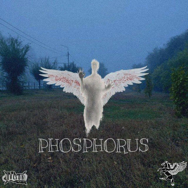 PHOSPHORUS.FOREVER