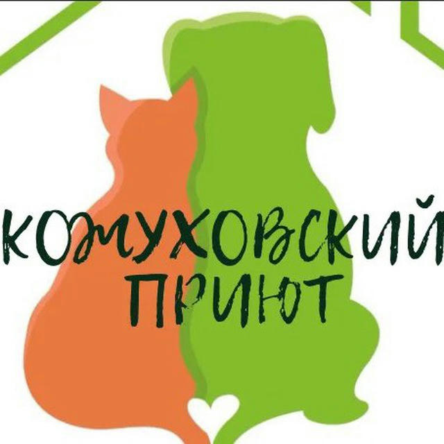 Котики Кожуховского приюта