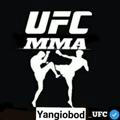MMA_UFC_janglar