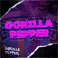 Gorilla Pepper | Cтрим казино онлайн | Розыгрыши, бонусы, фриспины