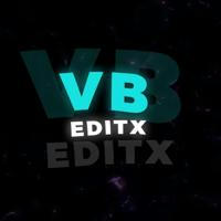VB EDITX