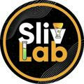 SlivLab 🧪 Крипто-лаборатория