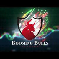 Booming Bulls