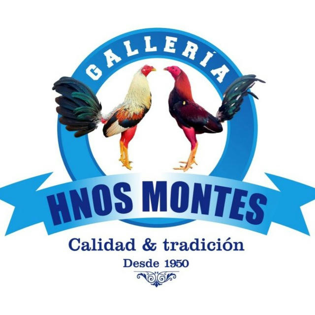 Gallería Hermanos Montes 🇨🇴