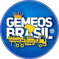 GÊMEOS BRASIL