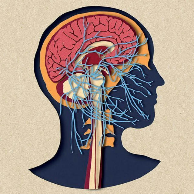 Neuroscience module| Practical