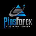 Pips Forex