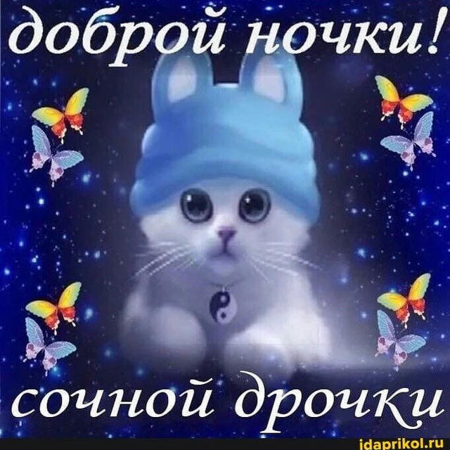 Доброй ночи с животными прикольные