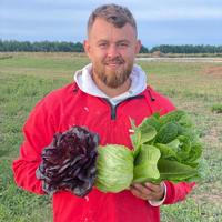 Top Harvest Time 🥬