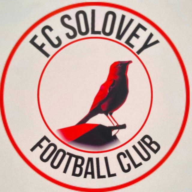 FC SolovYeiii