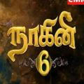 Naagini 6 Tamil 2.0